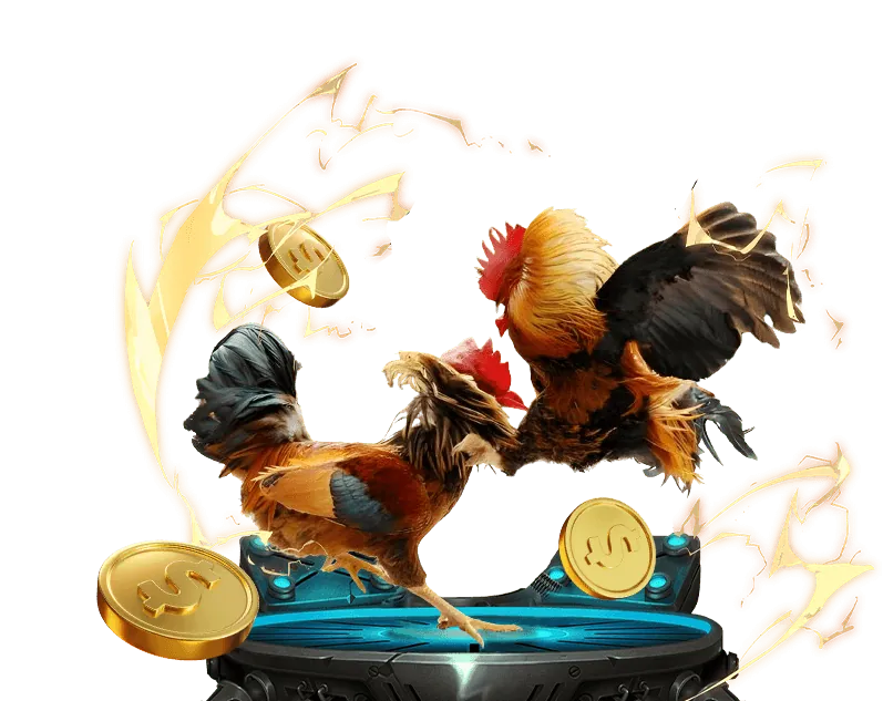 Đá gà trực tuyến VK88 với các trận đấu kịch tính và cơ hội đặt cược hấp dẫn.